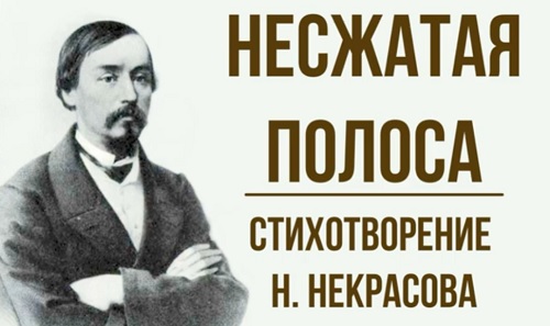 Несжатая полоса Некрасова