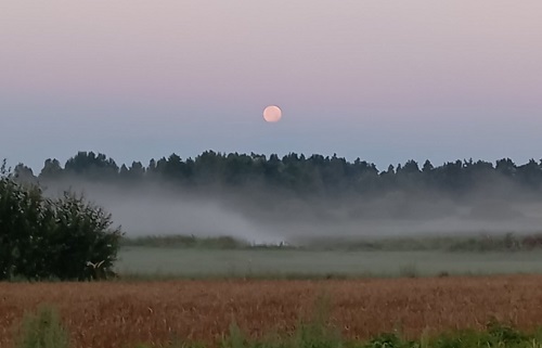 Вечер летом