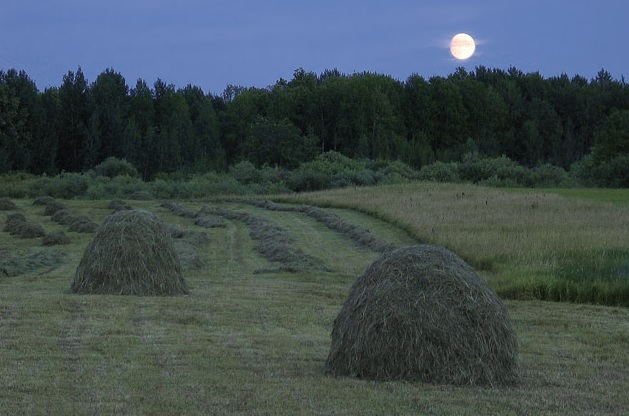 полный месяц в небе